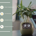 Smart Sensors And AI Chips Make Raising Plants